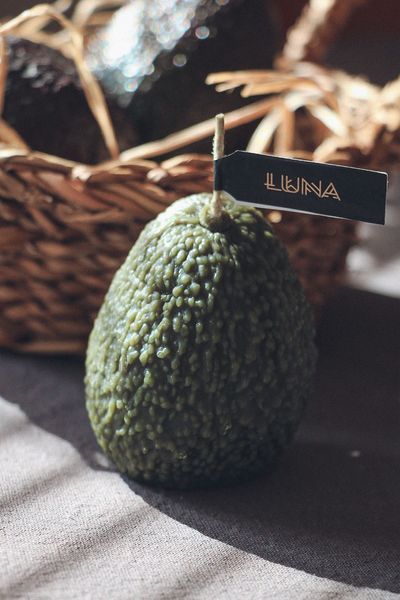 Avocado Candle 🥑 &ndash; Beeswax Handmade Candle, SV-AVO-VV