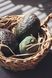 Avocado Candle 🥑 &ndash; Beeswax Handmade Candle, SV-AVO-VV