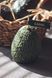 Avocado Candle 🥑 &ndash; Beeswax Handmade Candle, SV-AVO-VV