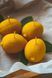 Lemon Candle Made of Beeswax &ndash; Handmade, CITRON-BW-01