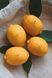 Lemon Candle Made of Beeswax &ndash; Handmade, CITRON-BW-01