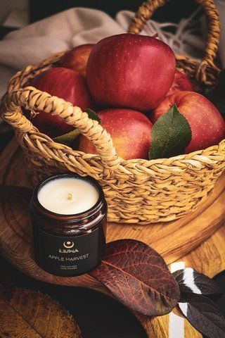 Apple harvest, CND-APLH-120