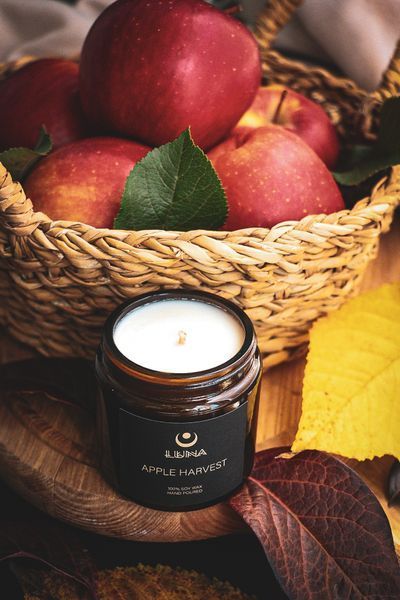 Apple harvest, CND-APLH-120
