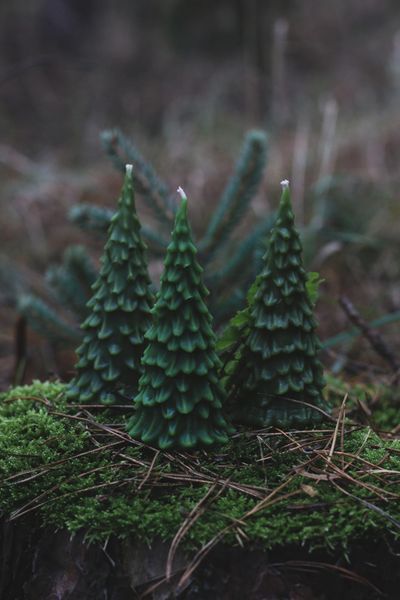 Christmas Tree Candle