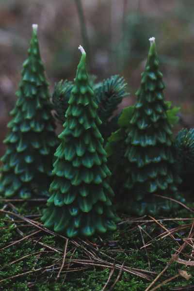 Christmas Tree Candle