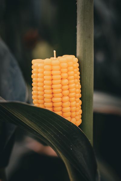 Corn Candle &ndash; Handmade Beeswax Candle
