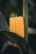 Corn Candle &ndash; Handmade Beeswax Candle