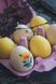 Egg Candles &ndash; Spring Decorative Candle Set (6 pcs)