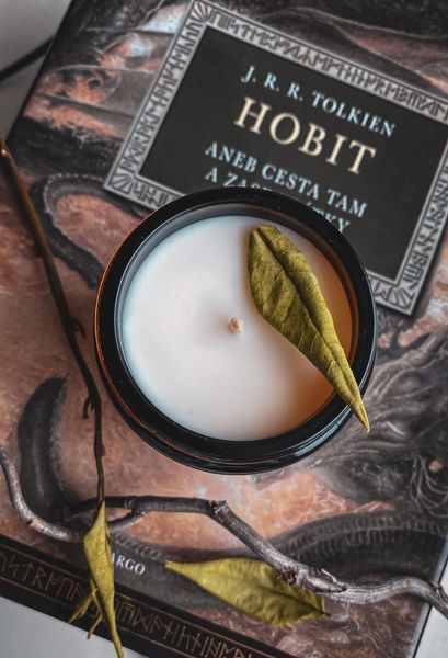 Soy Candle Tobacco & Bay Leaf, SV-TBL-120