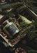 Gift Set Winter Forest & Christmas Tree Candle