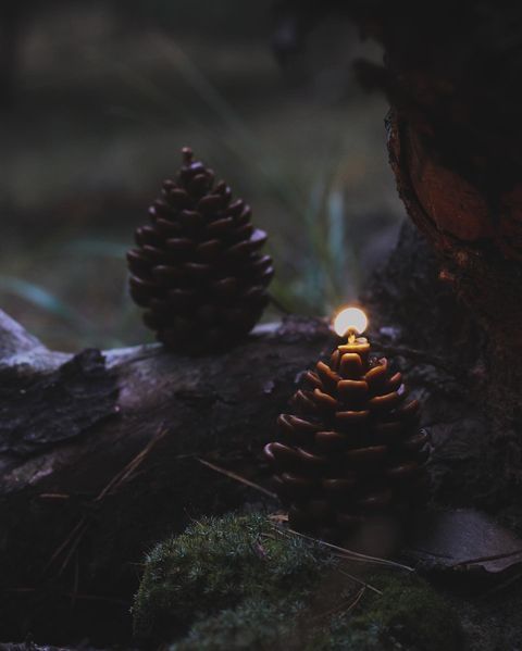 Gift Set Cozy Winter & Pinecone