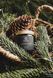 Gift Set Winter Forest & Cozy Winter