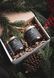 Gift Set Winter Forest & Cozy Winter