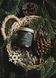 Gift Set Winter Forest & Cozy Winter